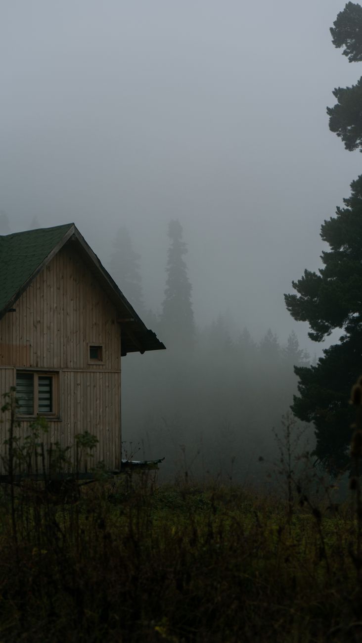 Misty Norwegian timber cabin framed by tall pine trees and moss rocks