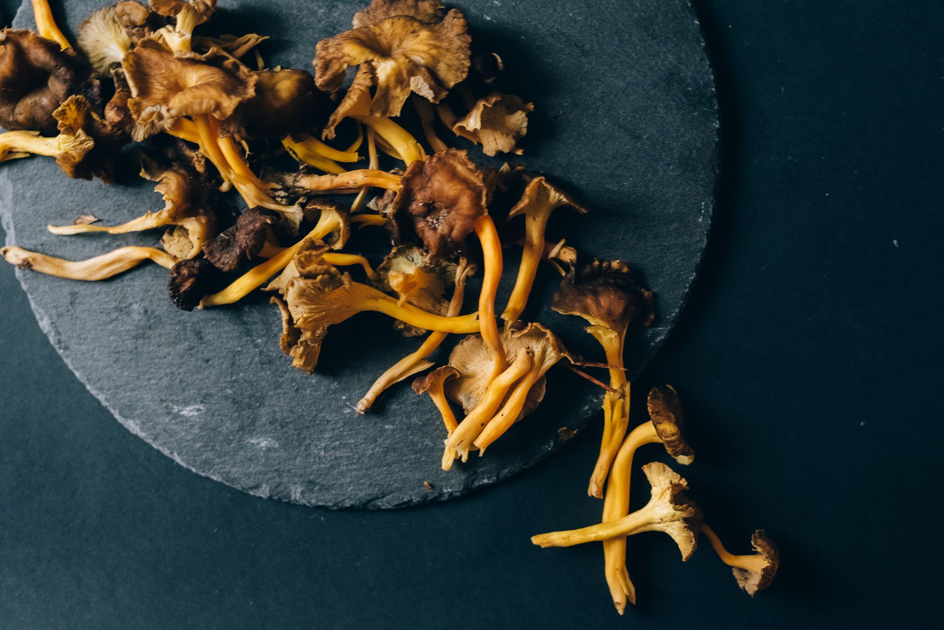 Plated seasonal foraged woodland mushrooms on rustic ceramic plate