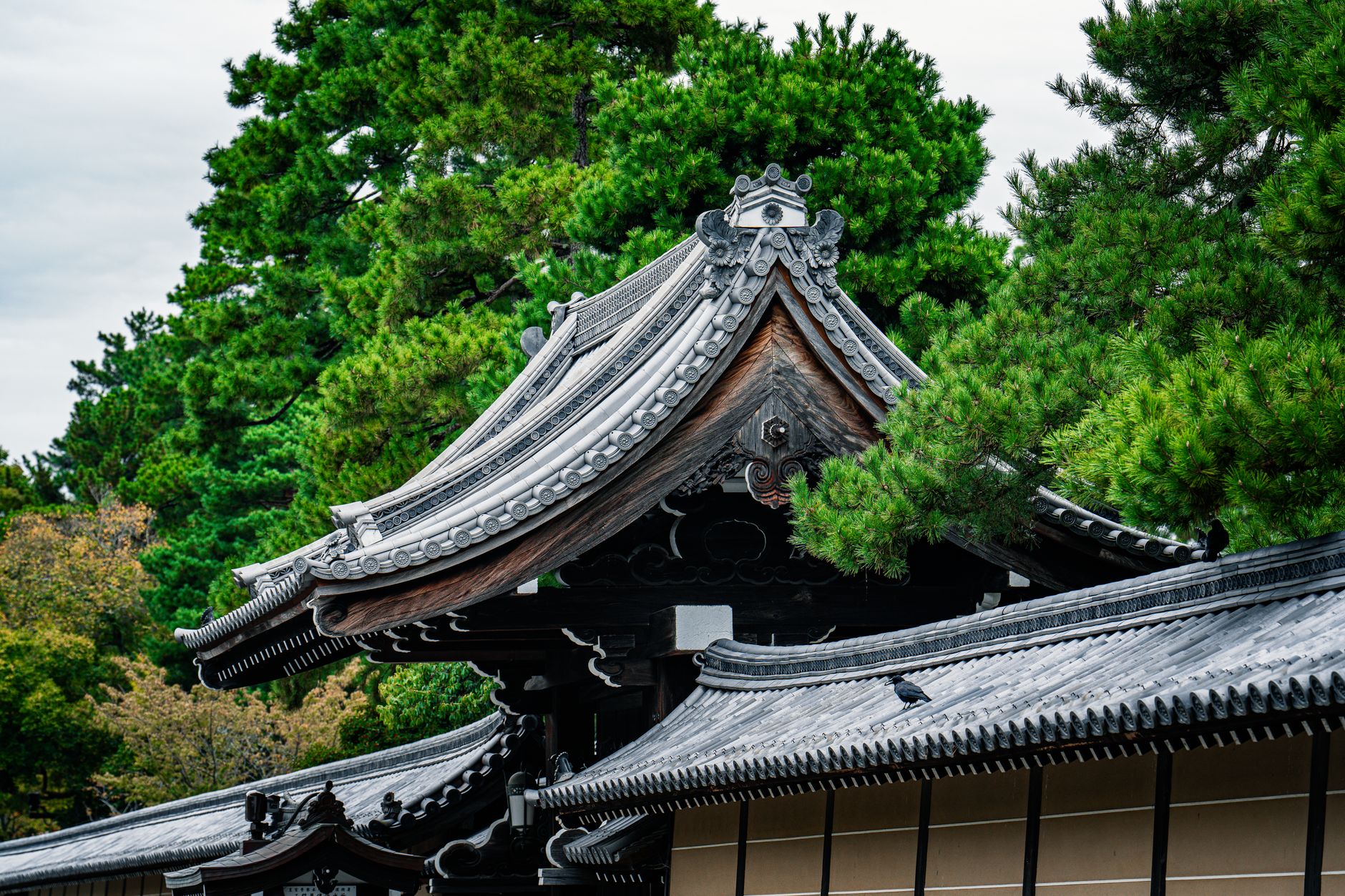 Traditional Japanese stone lantern in tranquil Kyoto moss courtyard