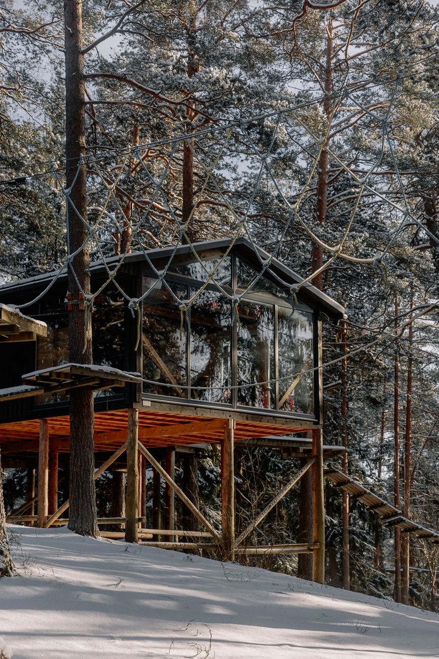 Architectural modern retreat surrounded by pine forest